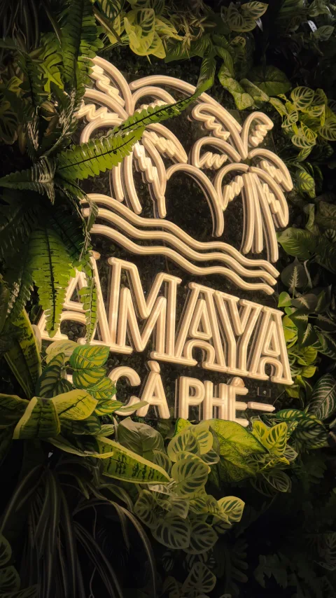 Enseigne lumineuse Amaya Cà Phê sur mur végétal luxuriant — Đà Nẵng